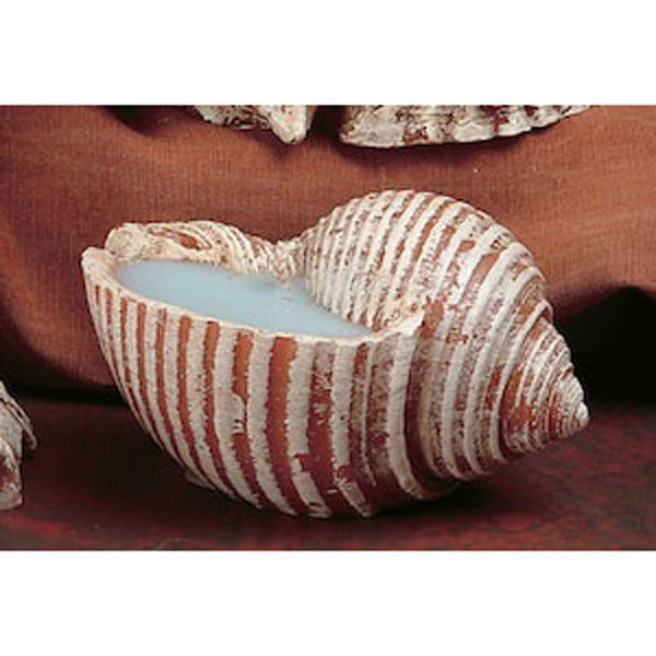 Sea Shell Candle